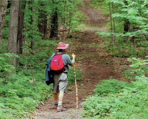 Hiking the Trails